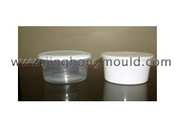 Thin Wall Mould 05