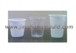 Thin Wall Mould 03
